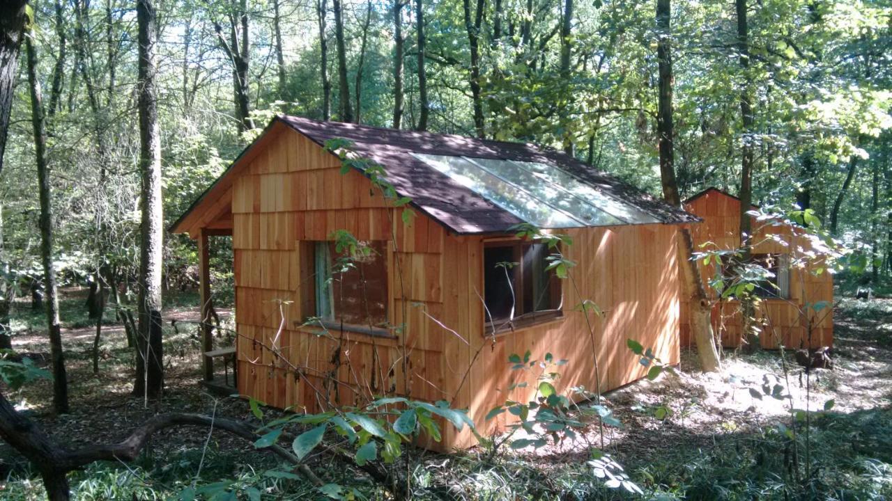 Ochys Waldfreizeitpark Villa Oberkreuzstetten Buitenkant foto